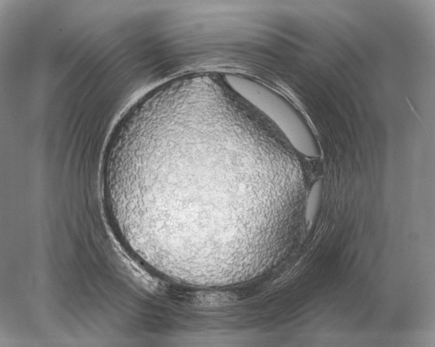 X0000078010795200611251502