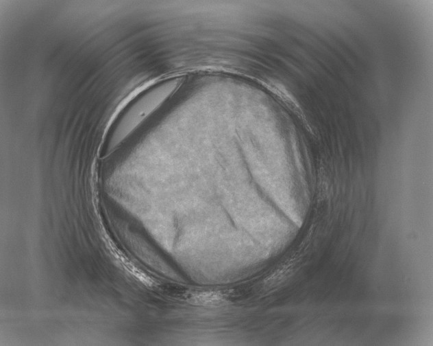 X0000078010798200611251502
