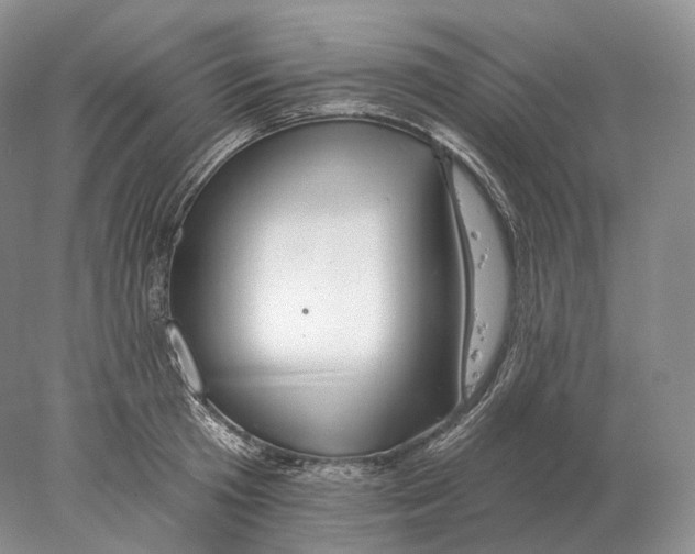 X0000078010801200611251502