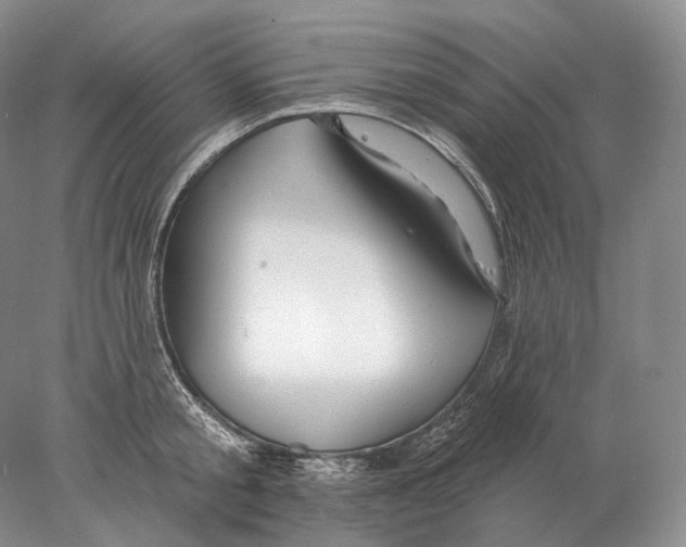 X0000078010805200611251501