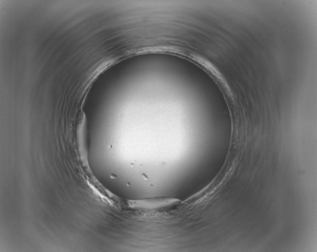 X0000078010809200611251501