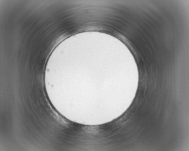 X0000078010810200611251501