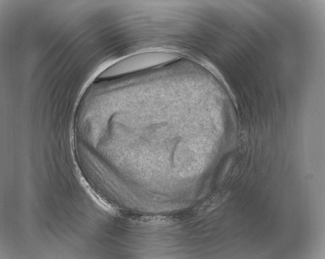 X0000078010811200611251501