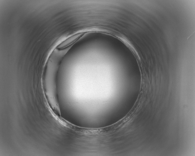 X0000078010813200611251501