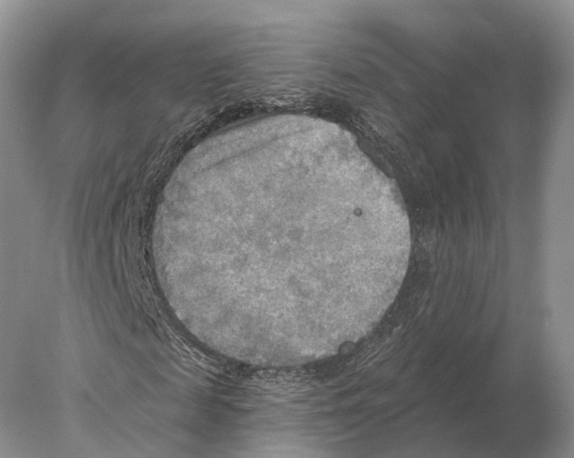 X0000078010817200611251500