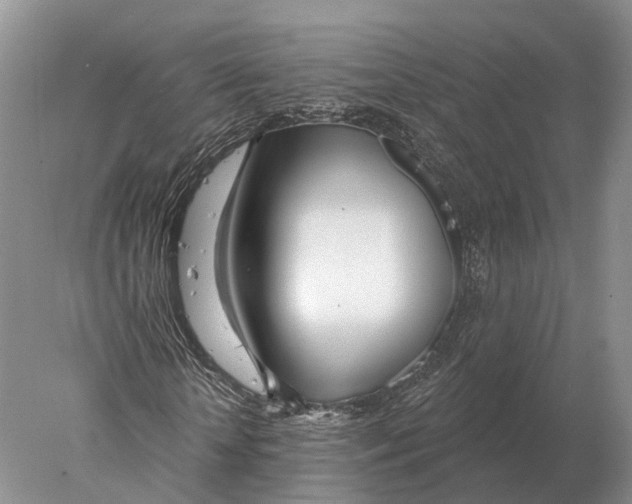 X0000078010818200611251500