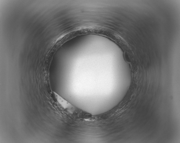 X0000078010822200611251501