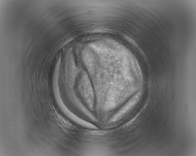 X0000078010825200611251501