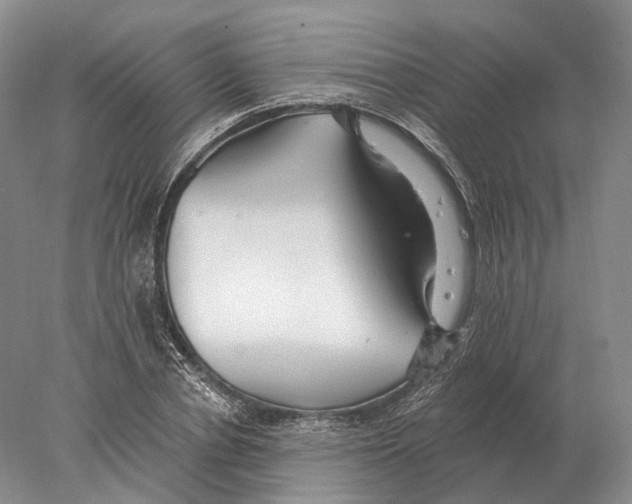 X0000078010834200611251501