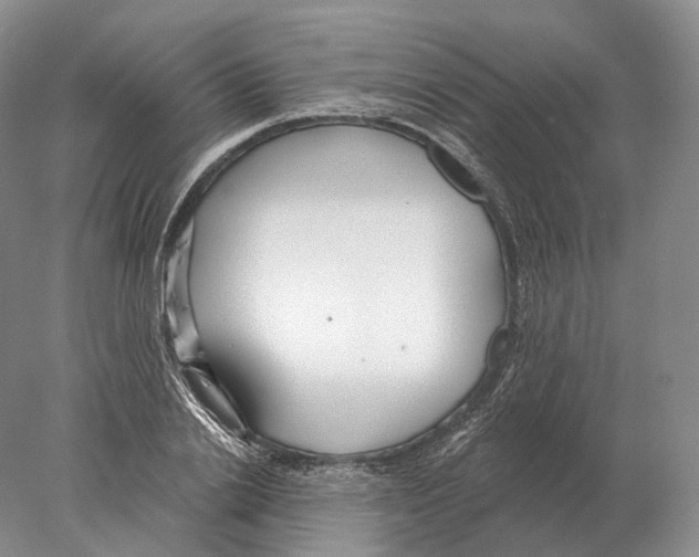 X0000078010838200611251501