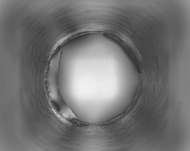 X0000078010842200611251501