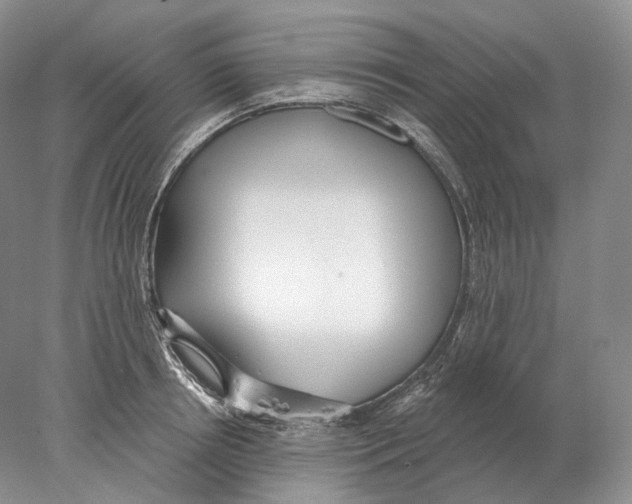 X0000078010850200611251501