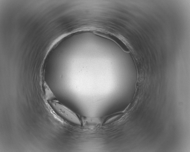 X0000078010854200611251501