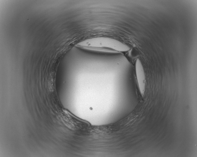 X0000078010868200611251500