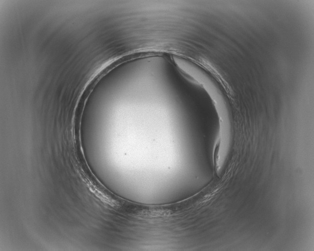 X0000078010884200611251500