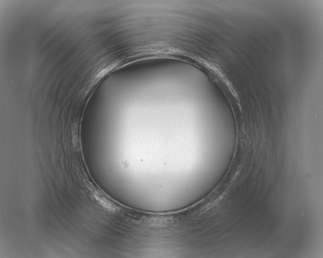 X0000078010889200611251500