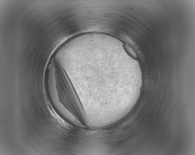 X0000078010892200611251500