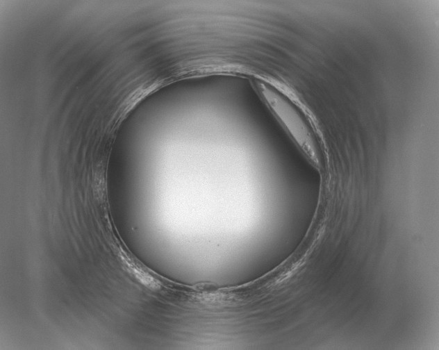 X0000078010897200611251500