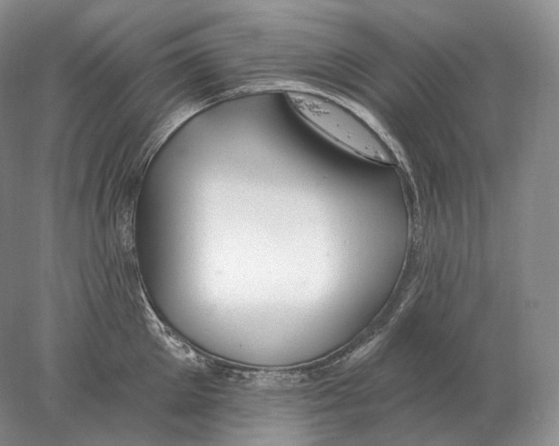 X0000078010905200611251500