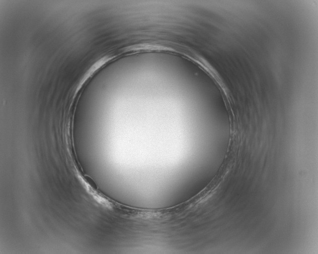 X0000078010909200611251500
