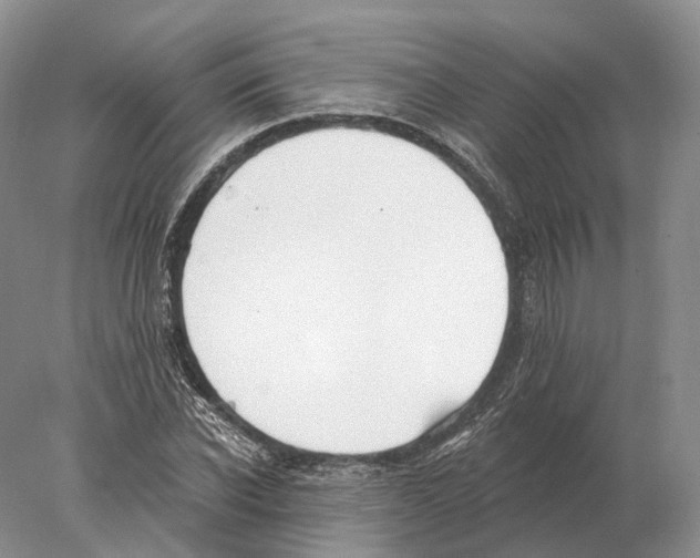 X0000078010926200611251459