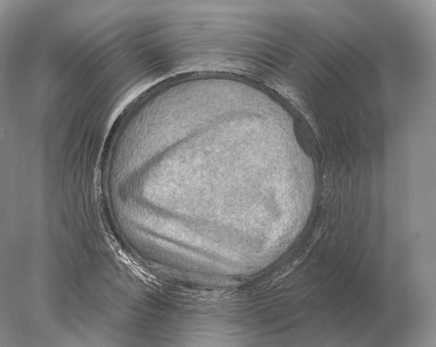 X0000078010928200611251459