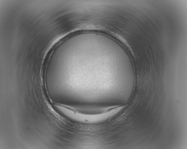 X0000078010935200611251459