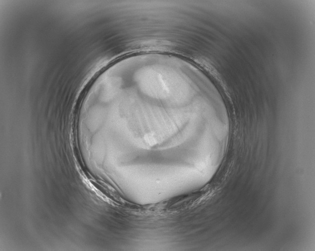 X0000078010941200611251459