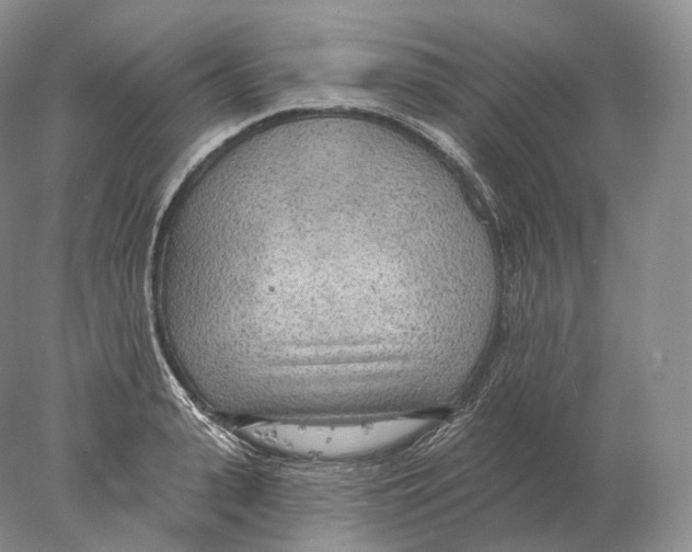 X0000078010943200611251459