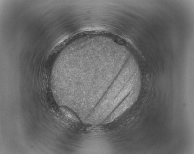 X0000078010967200611251459