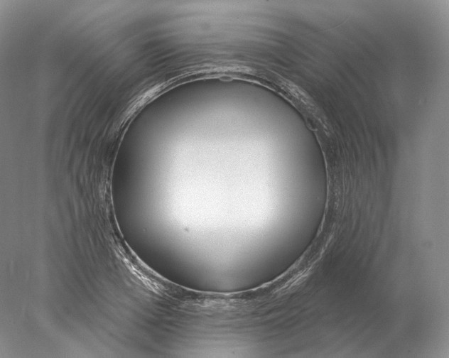 X0000078010985200611251458