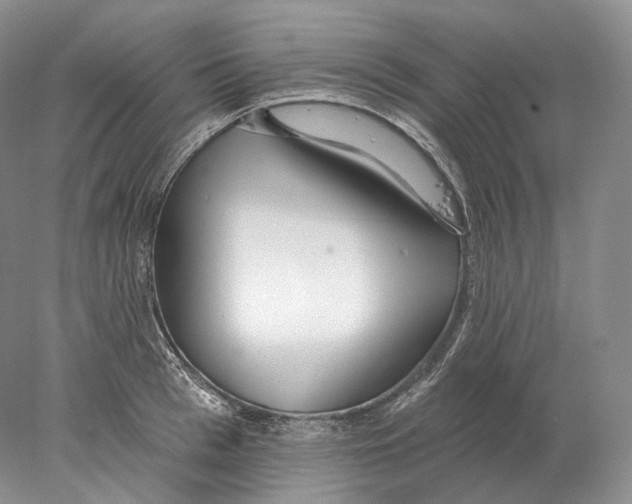 X0000078010993200611251458
