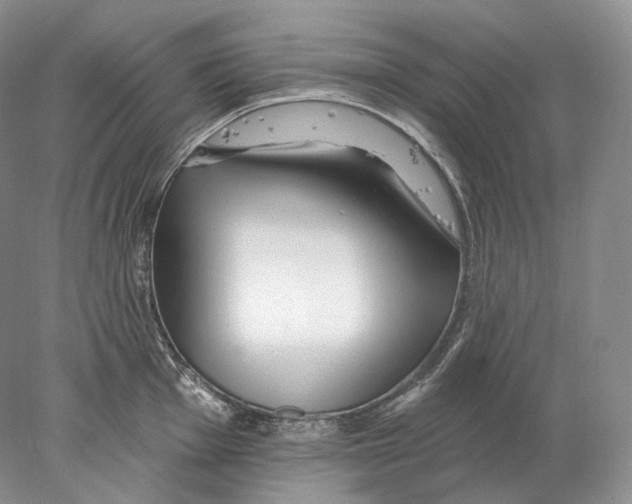 X0000078011001200611251458