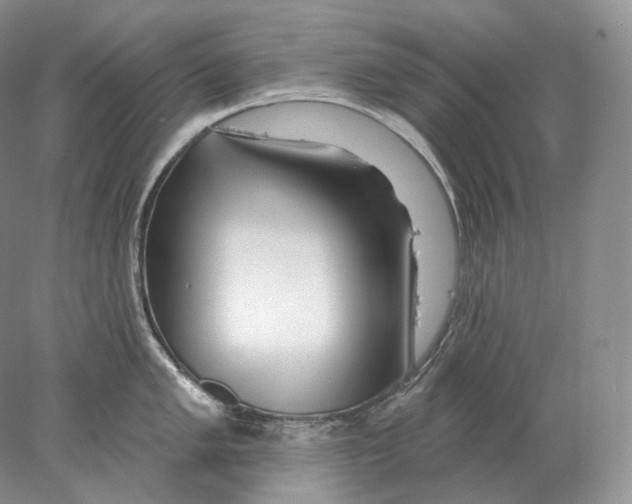 X0000078011005200611251458