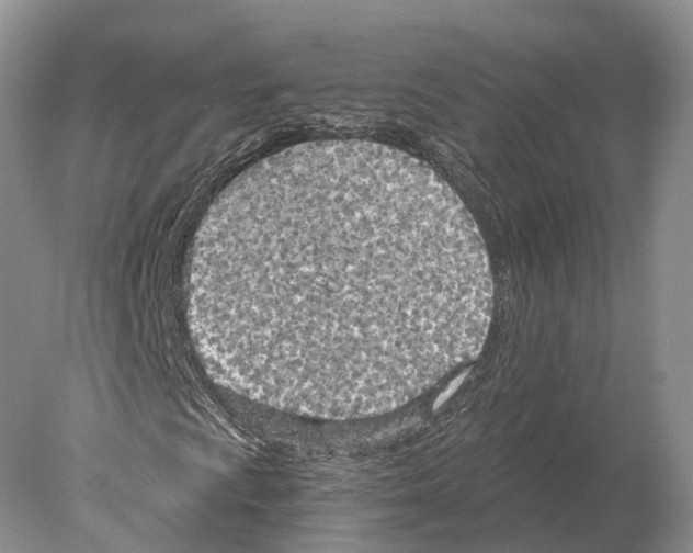 X0000078011009200611251457