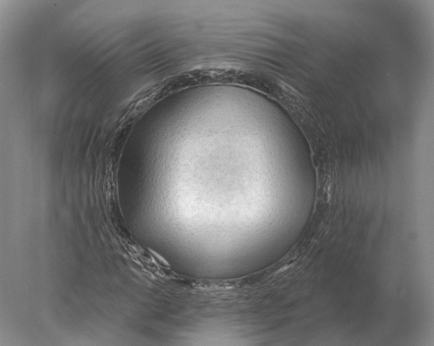 X0000078011014200611251457
