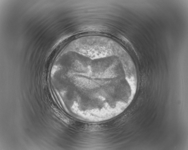 X0000078011019200611251457