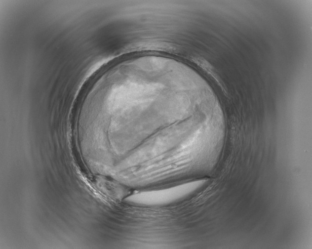 X0000078011024200611251457