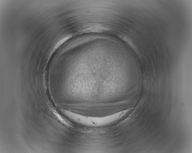 X0000078011026200611251458