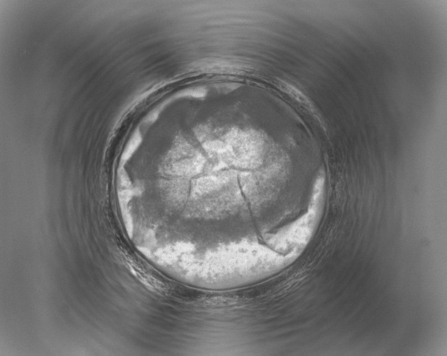 X0000078011027200611251458