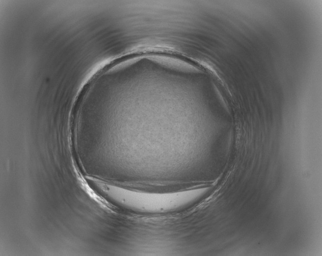 X0000078011038200611251458