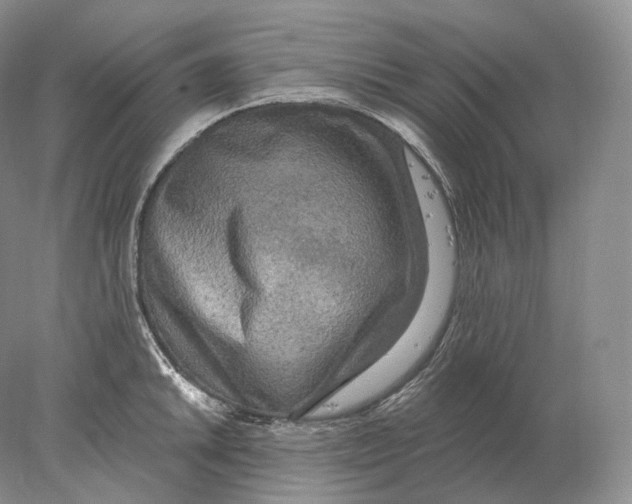 X0000078011046200611251458
