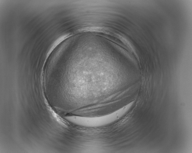 X0000078011050200611251458