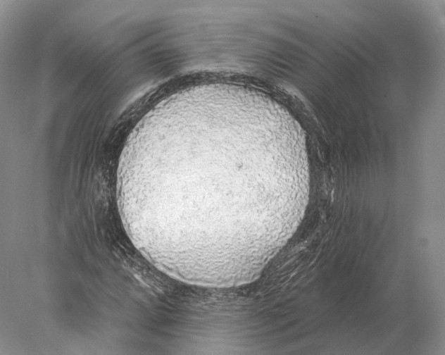 X0000078011064200611251457