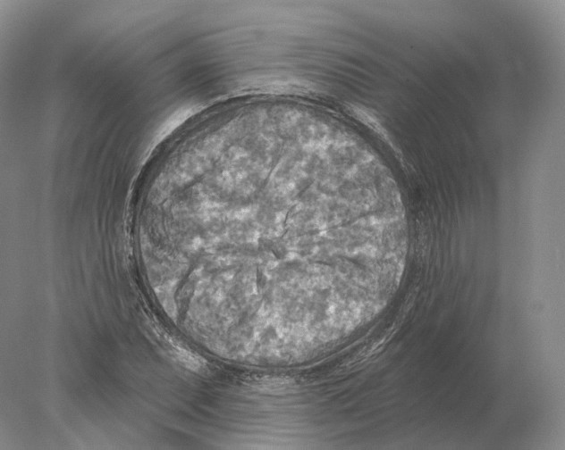 X0000078011071200611251457