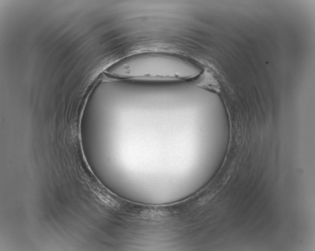 X0000078011073200611251457