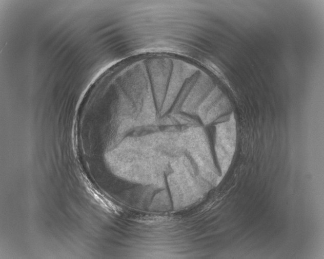 X0000078011076200611251457
