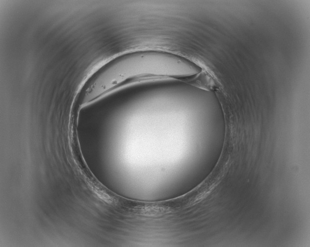 X0000078011077200611251457