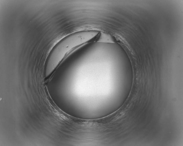 X0000078011081200611251457