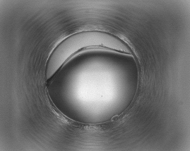 X0000078011089200611251457